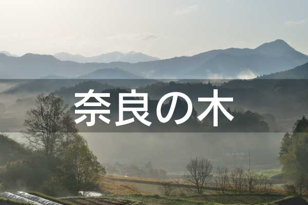 奈良の木｜奈良県産材のページへ